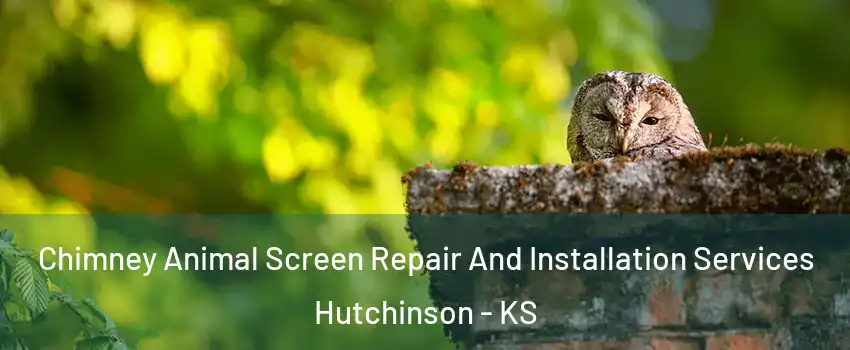  Chimney Animal Screen Repair And Installation Services Hutchinson - KS