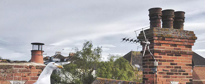 Chimney Cleaning And Restoration in Hutchinson, Kansas