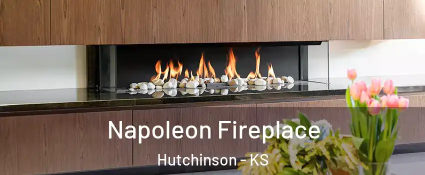  Napoleon Fireplace Hutchinson - KS